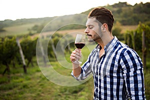 Wine growers tasting wine in vineyard