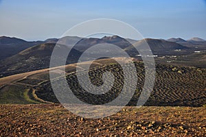 The wine-growing area of La Geria, Lanzarote. In the background the volcanos of the Timanfaya National Park. Canary Islands. Spain photo