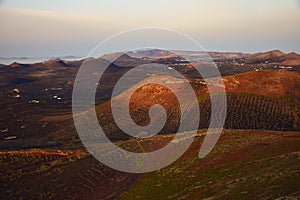 The wine-growing area of La Geria, Lanzarote, at sunrise. In the background the volcanos of the Timanfaya National Park. Canary