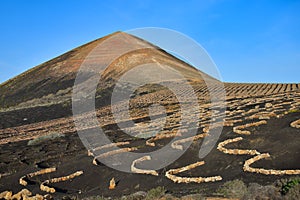 The wine-growing area of La Geria, Lanzarote, in the winter. In the background Montana Guardilama. Canary Islands. Spain