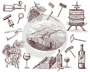 Wine harvest products, press, grapes, vineyards corkscrews glasses bottles for menus and signage in the bar. engraved