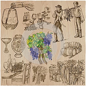 Wine harvest, vintage - an hand drawn vector set.