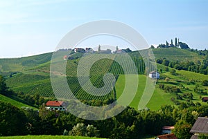 Wine hill styria