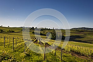 Wine Hills, Piedmont, Italy