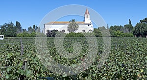 Wine industry in Chile photo