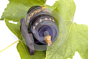 Wine industry concept