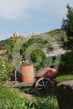 Wine jug