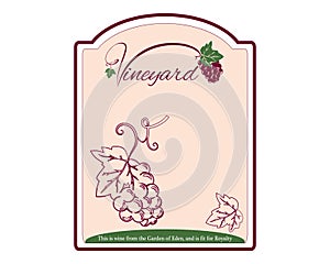 Wine label illustration swirls grappes