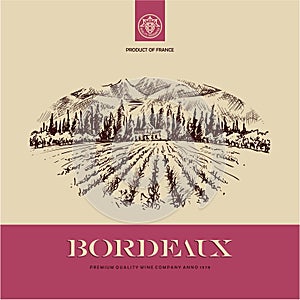 Wine label, vineyard landscape hand drawn illustration