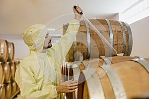 wine maker specialist worker work in win factory test wine taste aroma fermentation in oakwood barrel tank