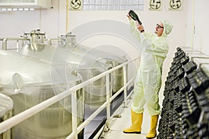 Wine making fermentation bottle Riddling or Disgorging process in wine factory