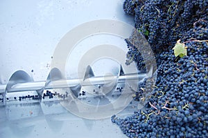 Wine-making machine photo