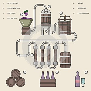 Wine making process or winemaking infographic vector illustration.