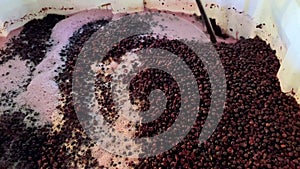 Wine making punch down process of red wine grapes during fermentation. Video