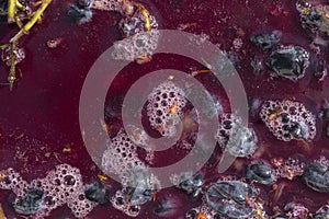 Wine making. Technology of wine production in Moldova.