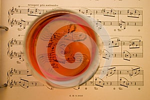 Wine and music