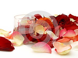 Wine and petal of roses