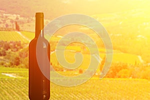 Wine plantation in Italy background,wine bottle in sunset,vineyards and fields