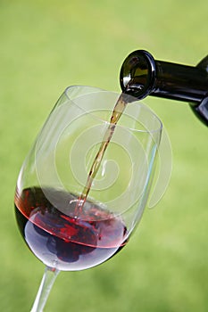 Wine Pouring