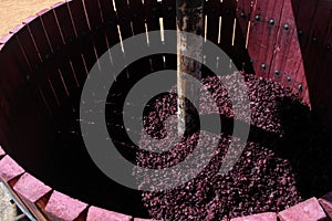 Wine press with red grape pomace