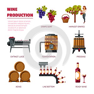 Wine production grape harvest extract juice and fermentation