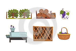 Wine production process. Grape harvesting, crushing, pressing, fermenting, aging cartoon vector illustration