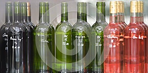 Wine quality control testing in laboratory