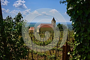 Wine region with church - Somlo, Hungary