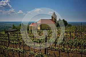 Wine region with church - Somlo, Hungary