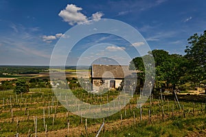 Wine region with cottage - Somlo, Hungary