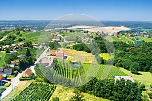 Wine region of Lendava, Slovenia