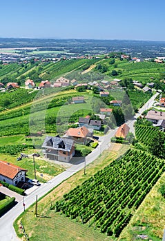 Wine region of Lendava, Slovenia