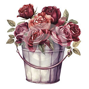 Wine Roses watercolor flowers