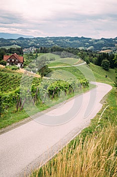 Wine Route in Southern Styria