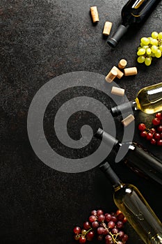 Wine sale or wine harvest season tasting banner or concept