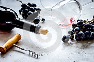 Wine set with bottle and grape on white background