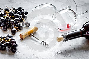 Wine set with bottle and grape on white background