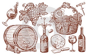 Wine set. Viticulture, vineyard concept vintage illustration. Collection of hand drawn sketches photo
