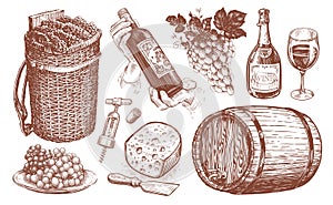Wine set. Viticulture concept vintage illustration. Collection of hand drawn sketches photo