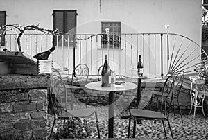 Wine shop taste area. Black and white photo