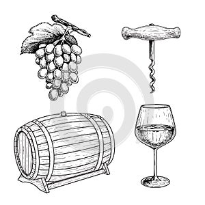 Wine sketch set. Grape, corkscrew, wine barrel or cask and glass of wine. Hand drawn vector illustrations for menu or package desi