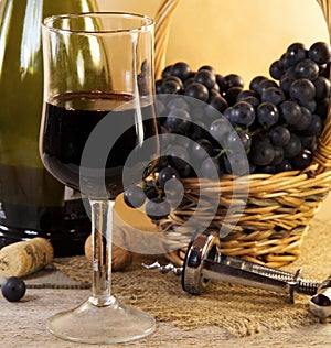 Wine Still Life