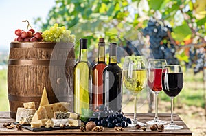 Wine still-life. Bottles of wine, glasses of wine and grapes on wooden table and blurred vineyard at the background