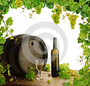 Wine still life vine border