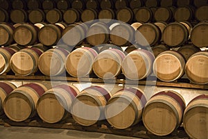 Wine storage barrels - Colchagua Valley - Chile