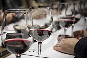 Wine tasting in Burgos, Spain