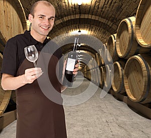 Wine tasting in the cellar