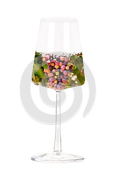 Wine tasting concept. Vineyard in a trendy glass collage, isolated on white