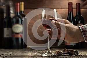 Wine tasting experience