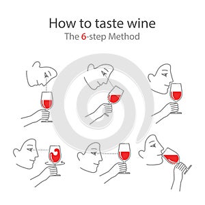 Wine tasting guide for beginners in a modern flat style